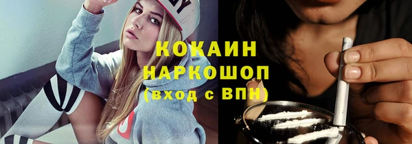 гашик Дмитриев