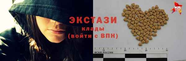 гашик Дмитриев