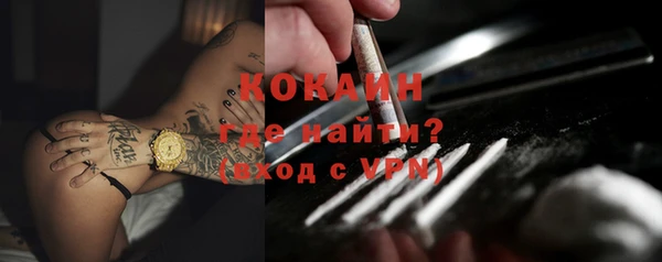 гашик Дмитриев