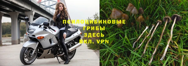 гашик Дмитриев