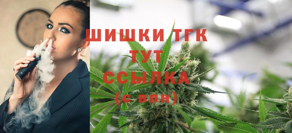гашик Дмитриев