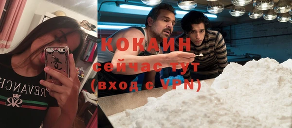 гашик Дмитриев