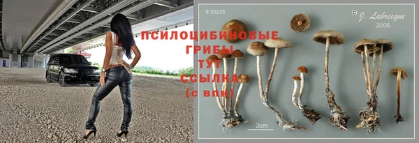 гашик Дмитриев